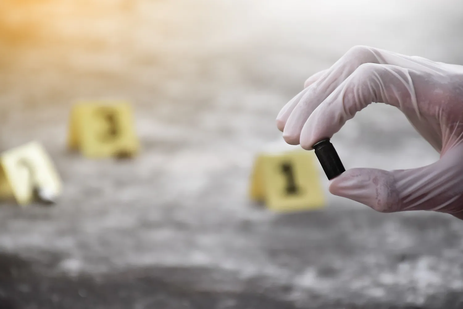 criminal defense attorney